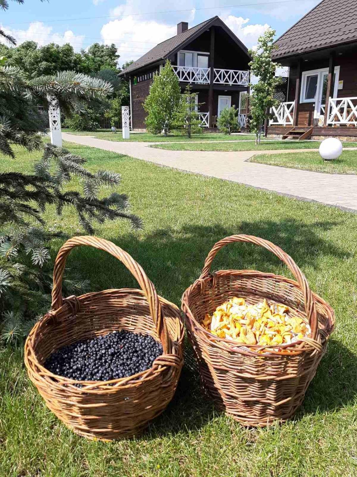 Ostrivky Hotel Svityaz' Luaran gambar